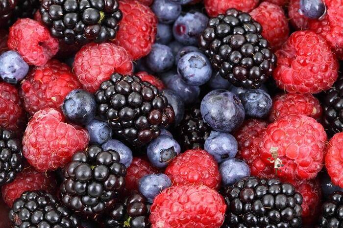 Berries to Improve Your Immunity System