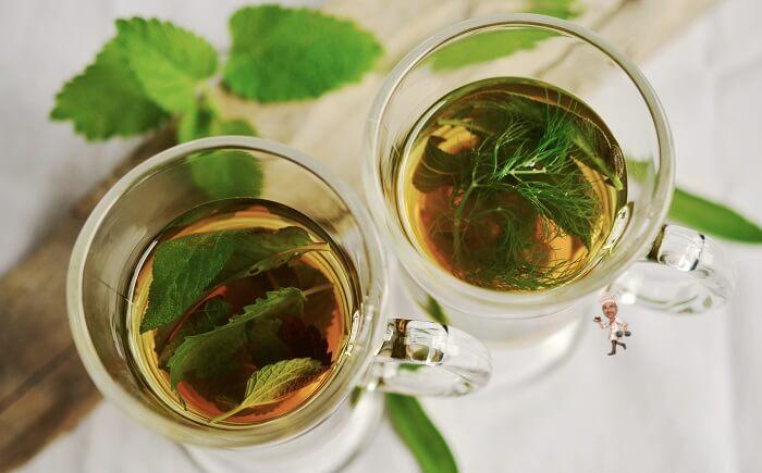 Boost Immunity with Green Tea