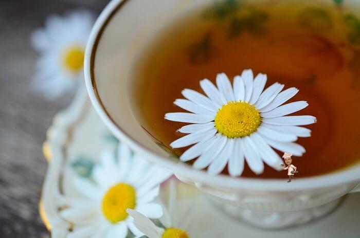 Chamomile Tea Anti-Stress Benefits