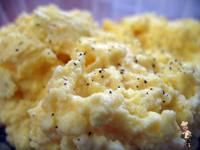 Scrambled Eggs for Dogs