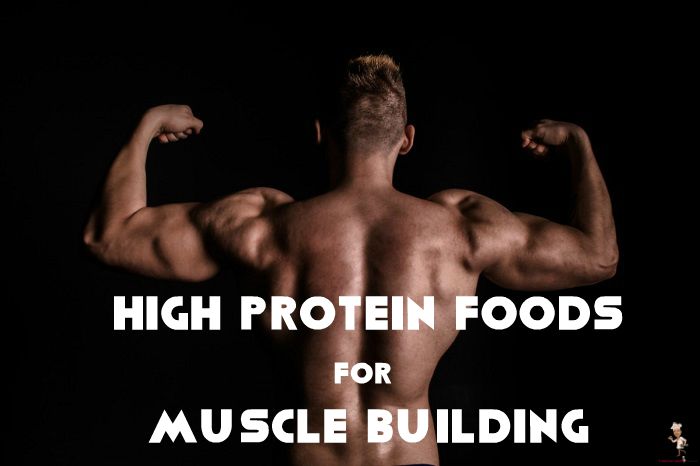 High Protein Foods for Muscle Building