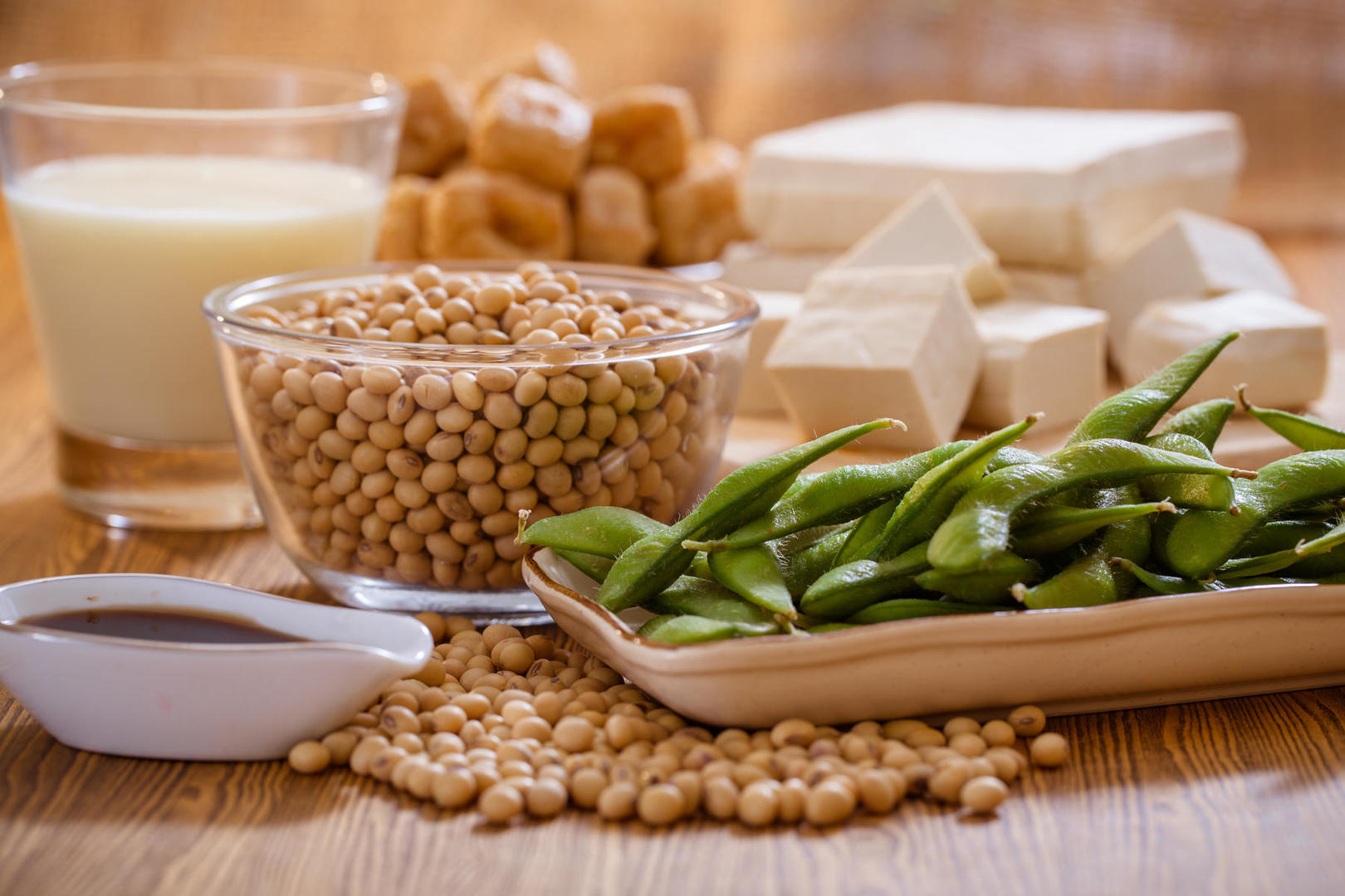 Soy products: everything you need to know!