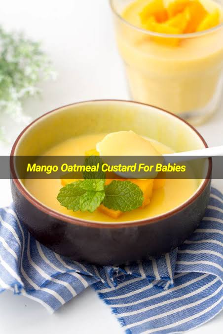 Mango oatmeal custard