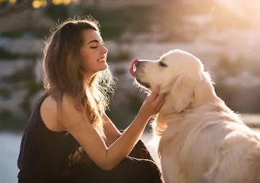 pets during corona