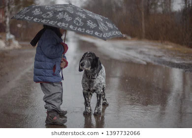 Pets during Monsoons