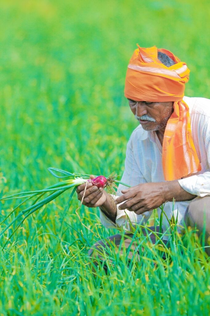 Farmers in India