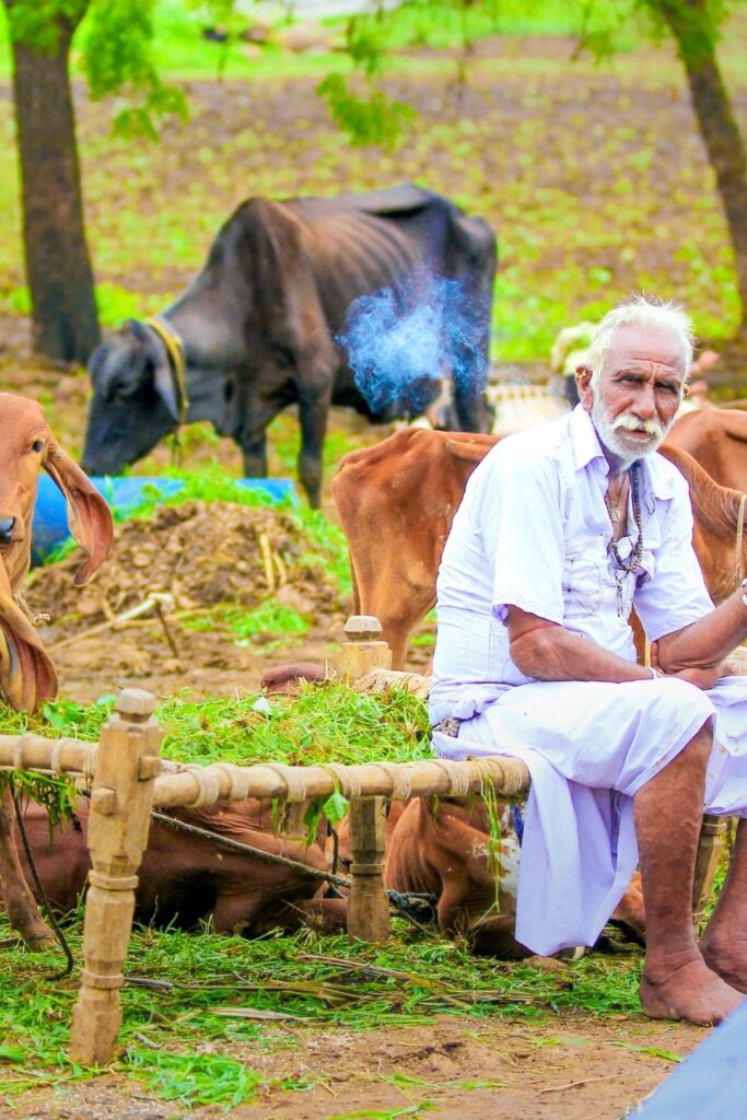 Farmers in India