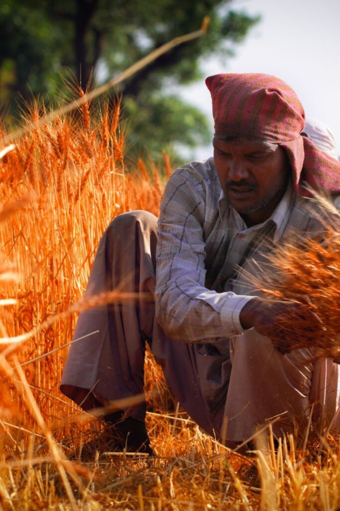 Farmers in India