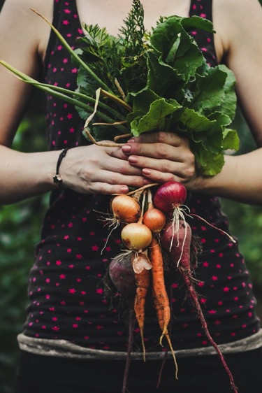 Veggies in your Daily Meals