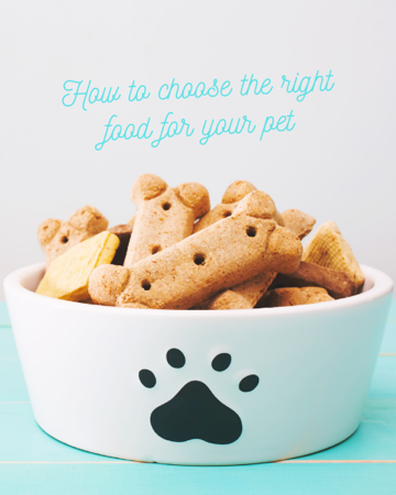 Right food for pets