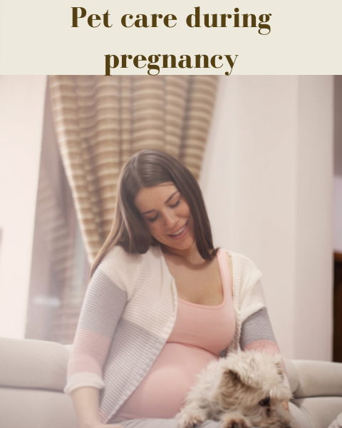 Pet care during Pregnancy