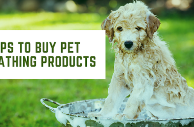 Dog's bathing products
