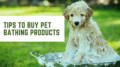 Dog's bathing products