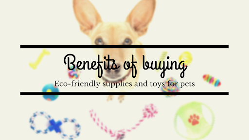 Eco-Friendly Toys for Pets