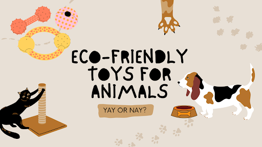 Eco-Friendly Toys for Pets