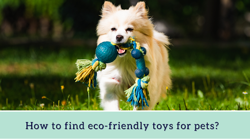 Eco-Friendly Toys for Pets