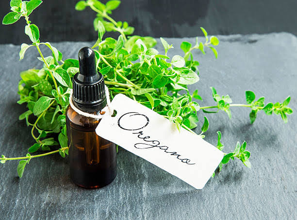 Oregano oil