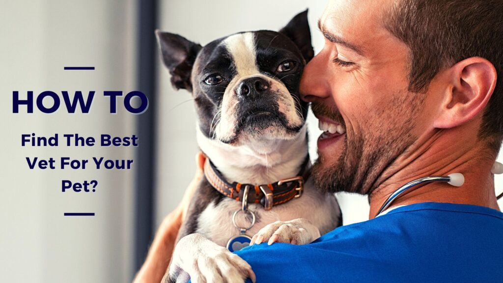The best veterinarian for your furry friend?