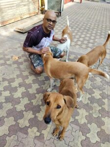 Animal Welfare Board of India