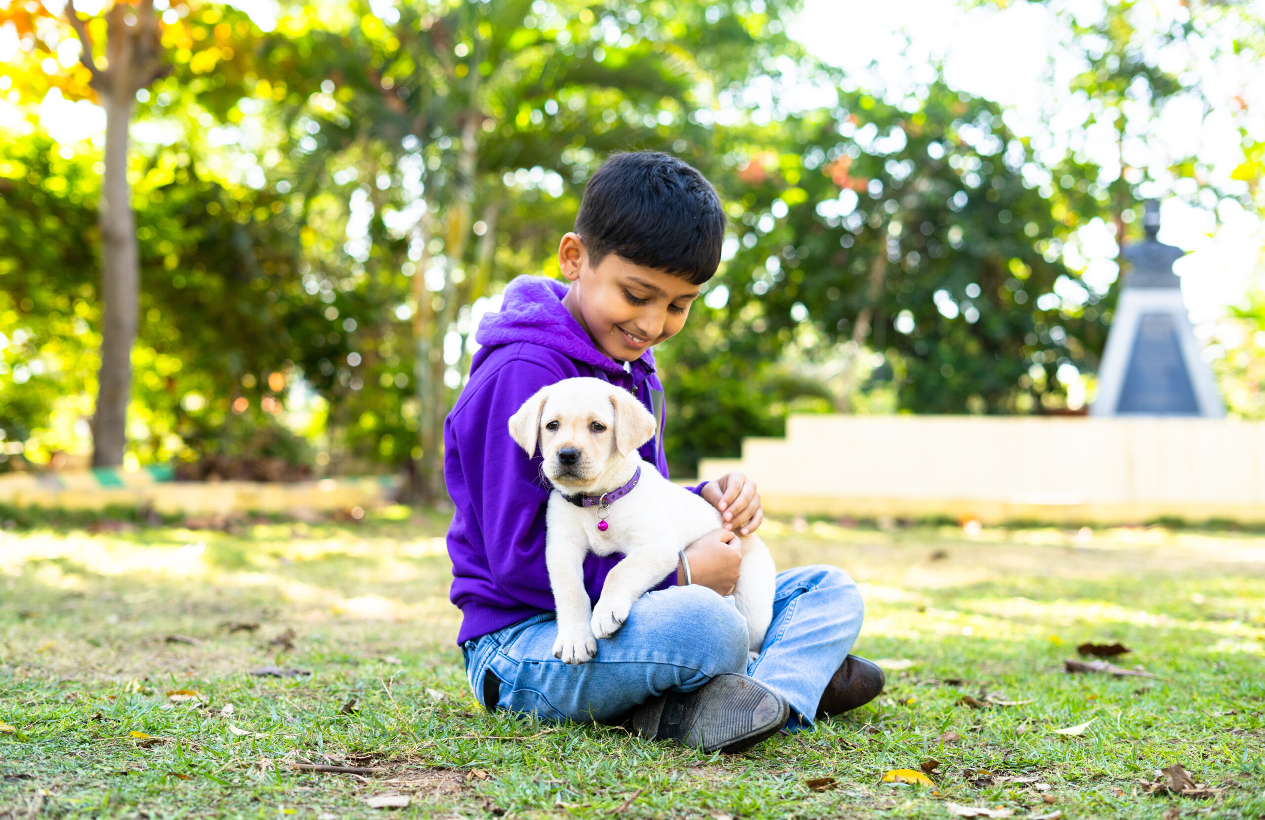 Caring during Ganesh Festival